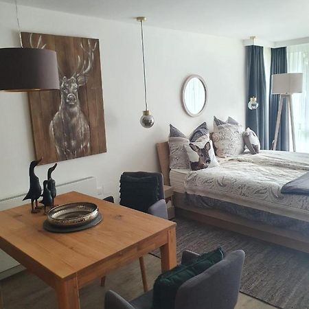 Maurers Schlierseetraum 6, Studio 455 Mit 42 Qm Neu Renoviert, Erdgeschoss Mit Eingezaeunter Terrasse In Ruhiger Lage Am Kirchbichlweg 8 Екстериор снимка