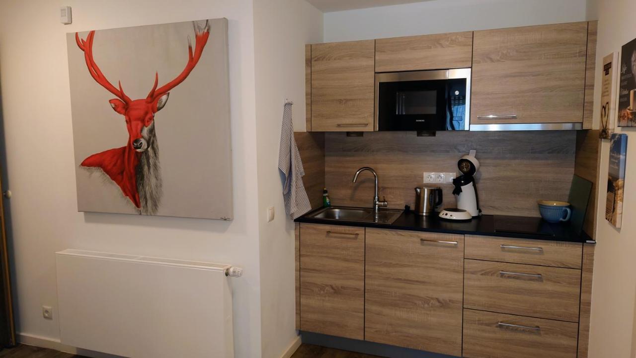 Maurers Schlierseetraum 6, Studio 455 Mit 42 Qm Neu Renoviert, Erdgeschoss Mit Eingezaeunter Terrasse In Ruhiger Lage Am Kirchbichlweg 8 Екстериор снимка