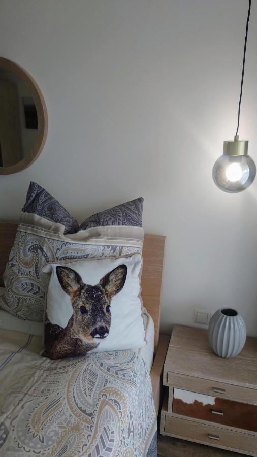 Maurers Schlierseetraum 6, Studio 455 Mit 42 Qm Neu Renoviert, Erdgeschoss Mit Eingezaeunter Terrasse In Ruhiger Lage Am Kirchbichlweg 8 Екстериор снимка