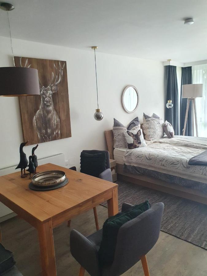 Maurers Schlierseetraum 6, Studio 455 Mit 42 Qm Neu Renoviert, Erdgeschoss Mit Eingezaeunter Terrasse In Ruhiger Lage Am Kirchbichlweg 8 Екстериор снимка